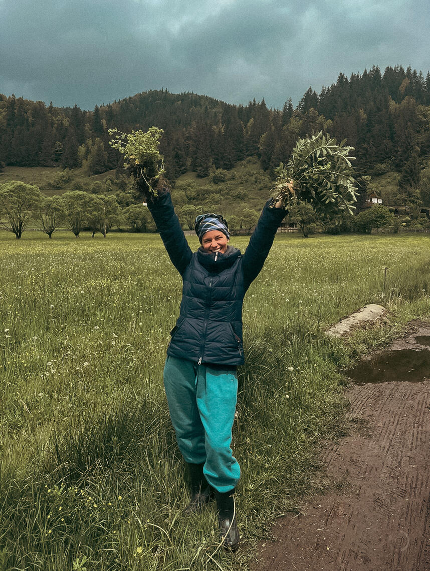 plant medicine
